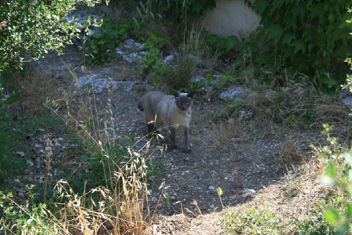 2012-07 002.JPG